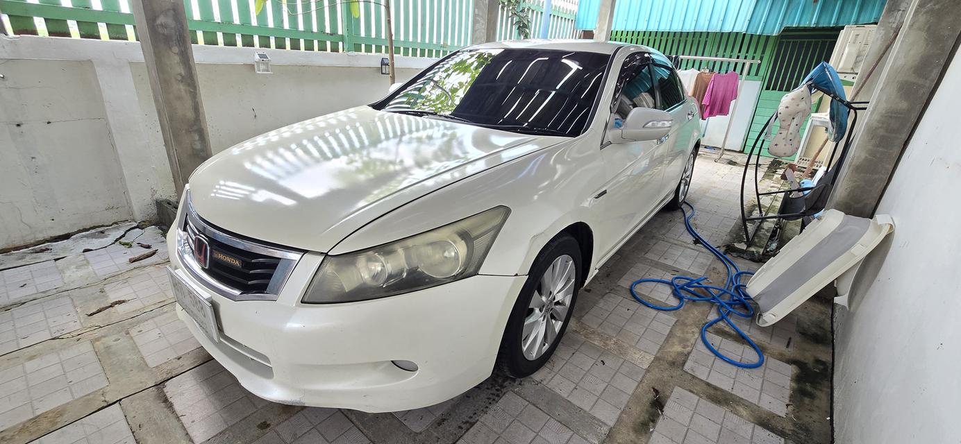 Honda Accord 2008 2.4 EL navi