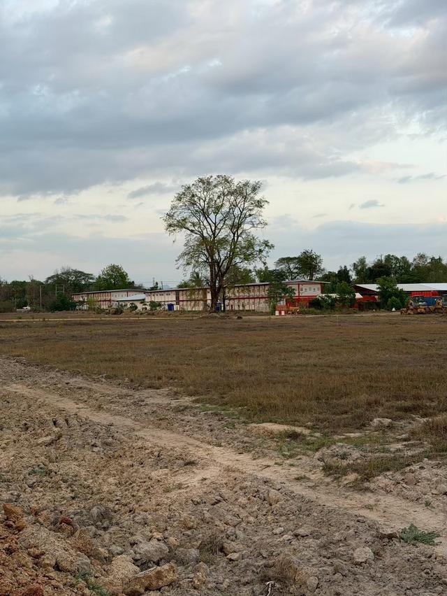 ขายที่ดิน เจ้าของขายเอง 16 ไร่ 1 งาน 94 ตรว.  นครพนม 1