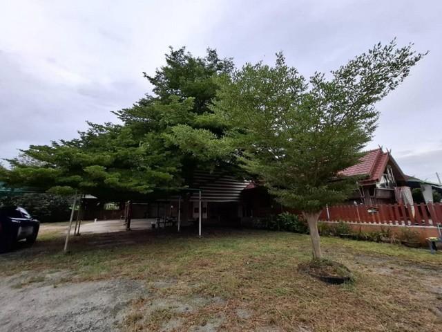 ขายโรงงานนาป่าเมืองชลบุรี ขายที่ดินพร้อมสิ่งปลูกสร้างใกล้นิคมอมตะ 3-1-92 ไร่ขนาดโรงงาน 576 ตารางเมตร บ้านไม้ 1 หลัง 3