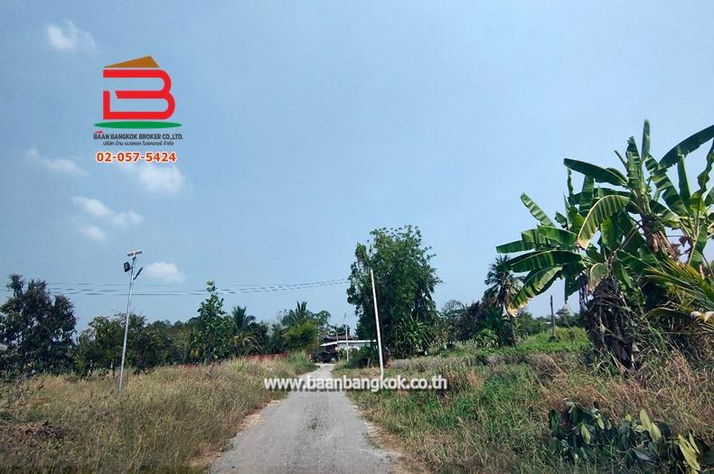 ที่ดินเปล่า บ้านหนองหัวเรือ ซ.6 เนื้อที่ 116 ตรว.ทางหลวงชนบท นว.3102 อ.เก้าเลี้ยว จ.นครสวรรค์
