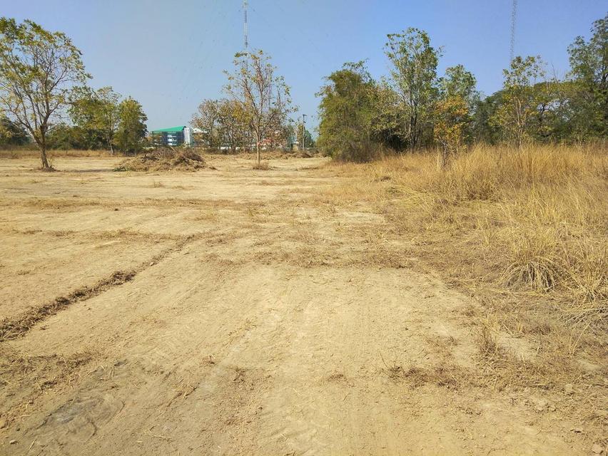 ขายด่วน! ที่ดินเปล่า บนถนนซุปเปอร์เชียงใหม่-ลำปาง จ.ลำพูน 2