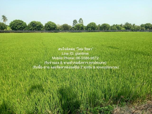 DSL-1049 ขาย SALE พื้นที่ดิน ขายที่ดินทุ่งนา อ.นครชัยศรี นครปฐม 8-0-76 ไร่ ราคา 24,570,000 บาท ขนาด 8 Rai 0 Ngan 76 ตารา 7