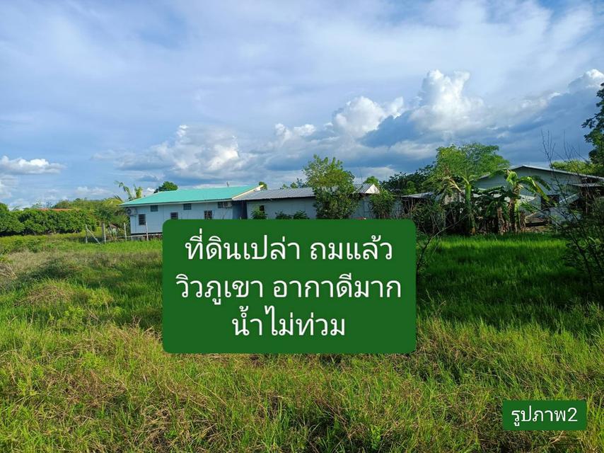 ขายที่ดิน 200 ตารางวา (ถมที่ดินแล้ว) 2