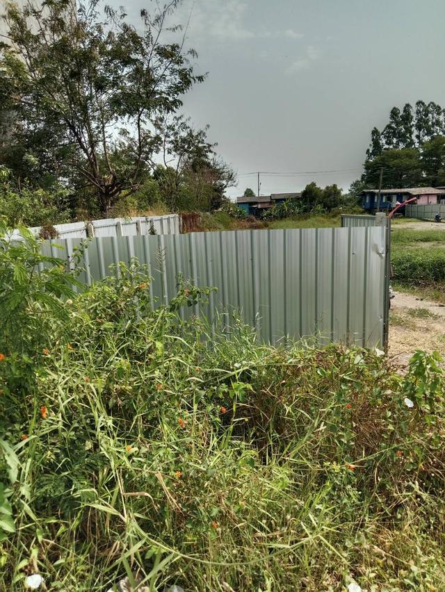 ขายที่ดินเปล่า บางปะอิน 8