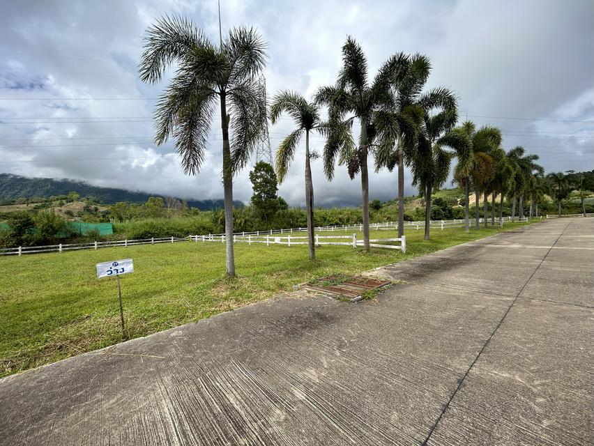 ขายที่ดินจัดสรรแปลงสวยเขาค้อ 5