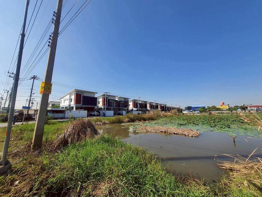 Vายที่ดินซอยวัดป่าห้าพระองค์ 200 ตารางวา แปลงมุม ติดถนนคลองเเอนคลองสาม 5/4-1 อ.คลองหลวง จ.ปทุมธานี 10