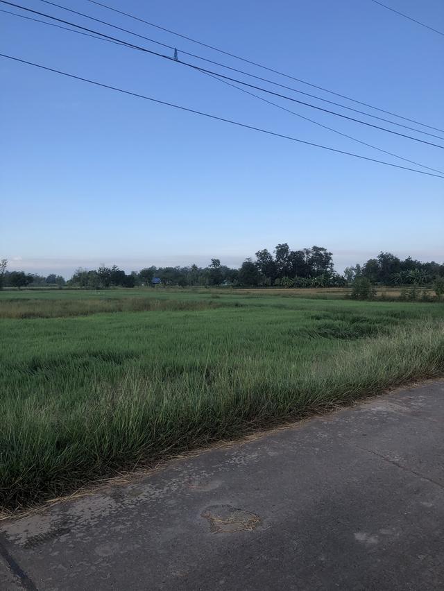 ขายที่ดินของตัวเองค่ะ 3