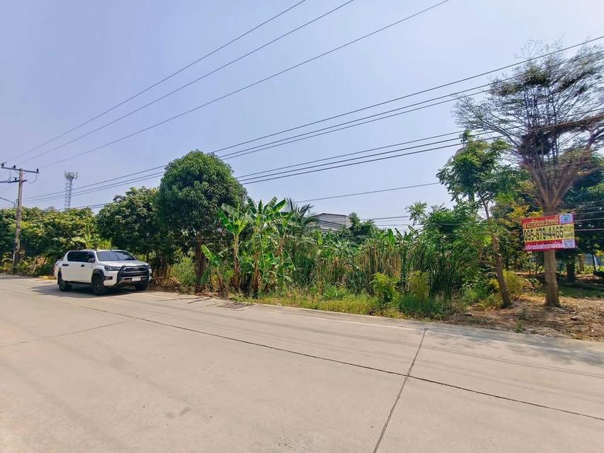 Vายด่วนทีดินใกล้ตลาดไท 509 ตารางวา ซอยเทพกุญชร2 คลองหลวง ปทุมธานี 3