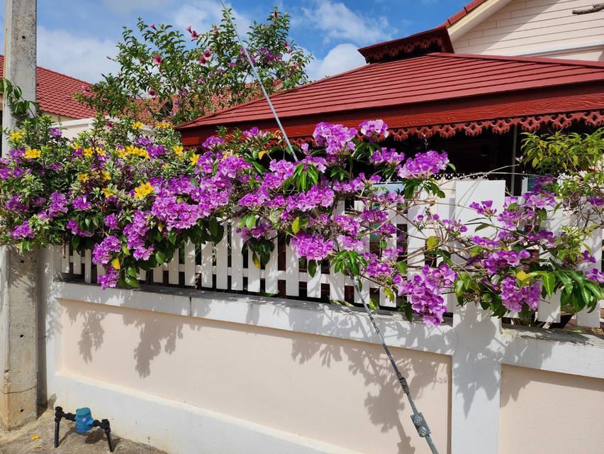 บ้านเดี่ยวชั้นเดียวพร้อมเฟอร์นิเจอร์ 14