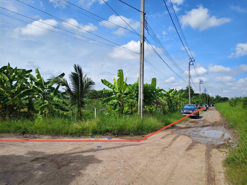 ขายที่ดิน 4 ไร่ ถนนพัฒนาชนบท 3 ซอยสมร ใกล้มอเตอร์เวย์กรุงเทพ-ชลบุรี 1