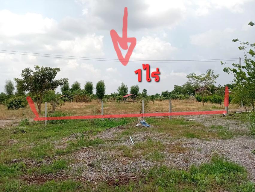 ที่ดิน 1 ไร่ วิวภูเขาหน้าแปลง น้ำไฟพร้อม 1