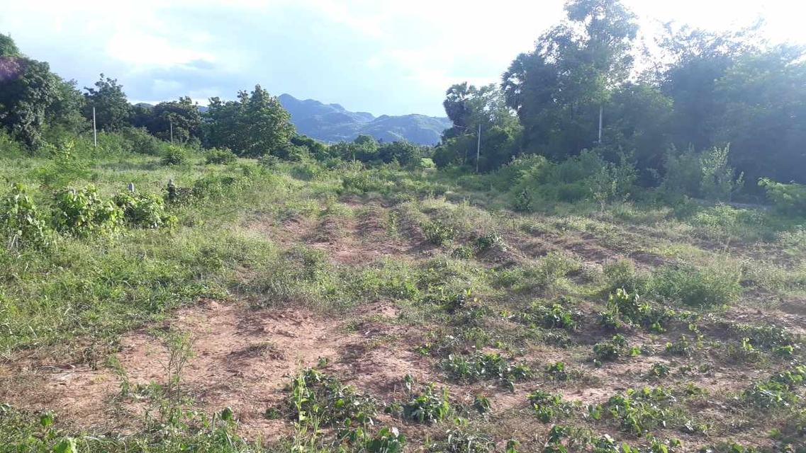 ที่ดิน 2ไร่ 43ตรว. จ.กาญจนบุรี 7