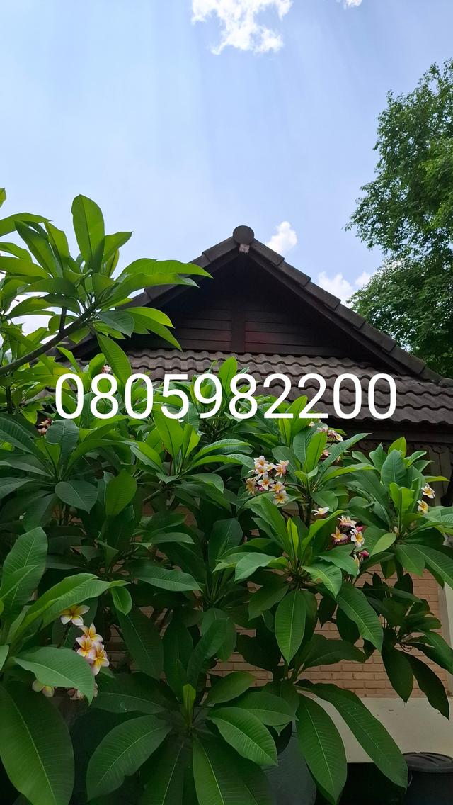 ศุภาลัย ป่าสักรีสอร์ท บ้านเดี๋ยวติดแม่น้ำป่าสัก ในโครงการรีสอร์ท 7