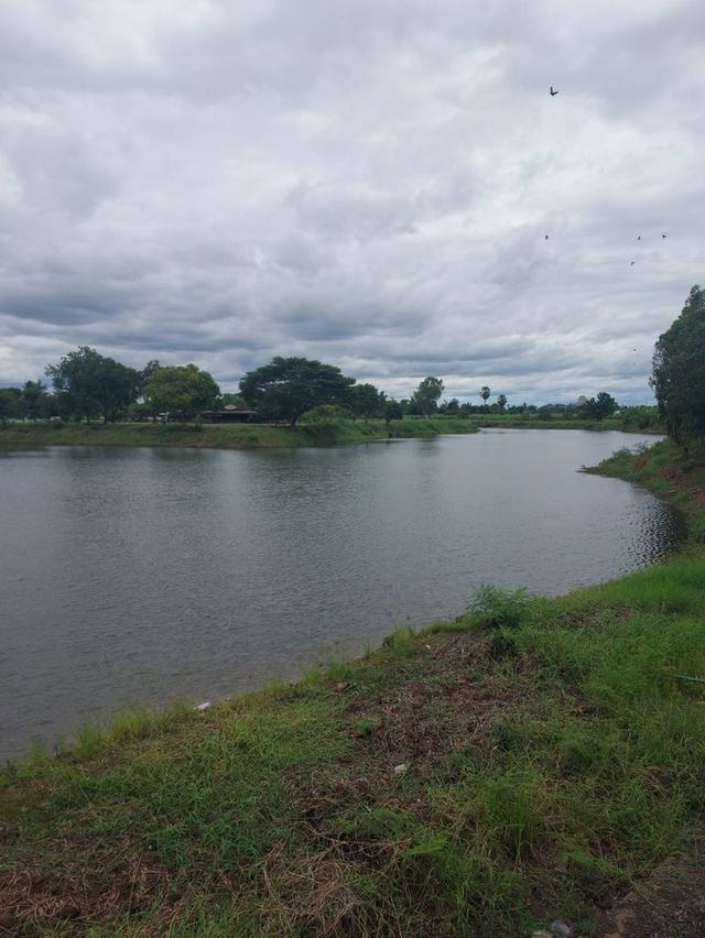 ขายที่ดิน4ไน่2งาน40 ตรว  ,3.9 ล้าน 7