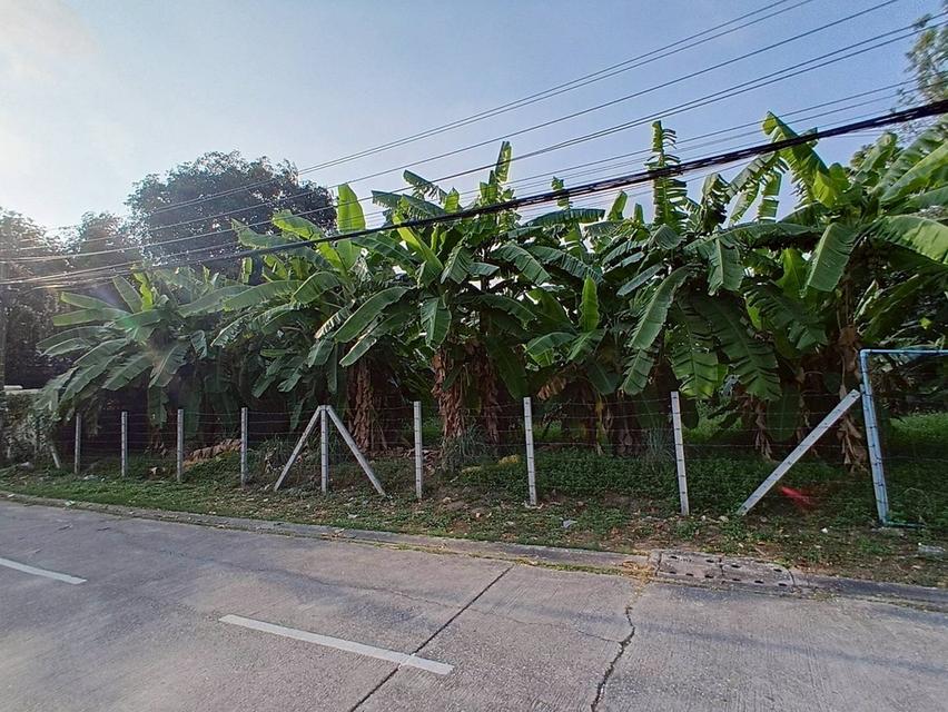 ที่ดินหมู่บ้านสวัสดิการทหารรามอินทรา 61 2