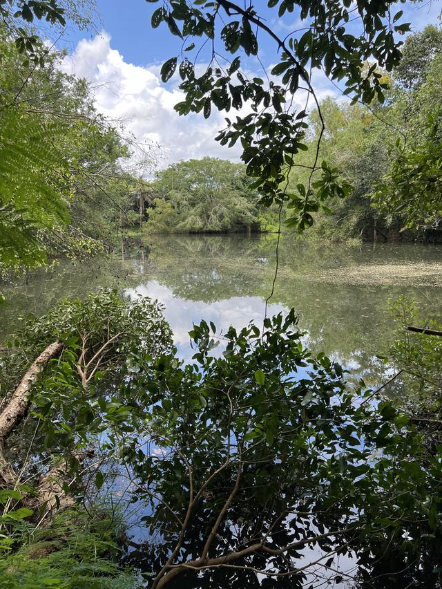 ขายที่ดินพร้อมบ้านและสวนบ้านเขาชะเมา 72 ไร่ ติดถนนเส้นอบจ.ระยอง จ.ระยอง 2