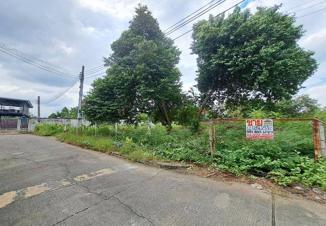 ขายที่ดิน ซอยศาลาธรรมสพน์ 13 ถนนบรมราชชนนี เขตทวีวัฒนา กรุงเทพมหานคร 2