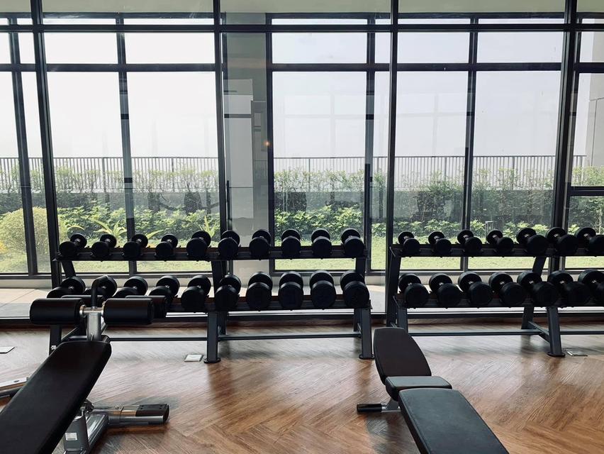 ให้เช่าคอนโด The Politan Aqua ชั้น 41 ซ.นนทบุรี 15 ทำเลดี เดินทางสะดวก ใกล้MRT สะพานพระนั่งเกล้า 13