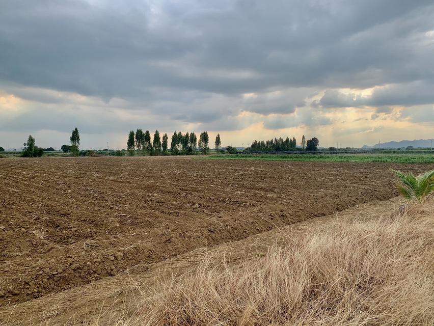 ขายที่ดินสวย16ไร่ ต.วังศาลา อ.ท่าม่วง แปลงสวย ทำเลดี แหล่งชุมชน ใกล้กรุงเทพ เดินทางสะดวก 4