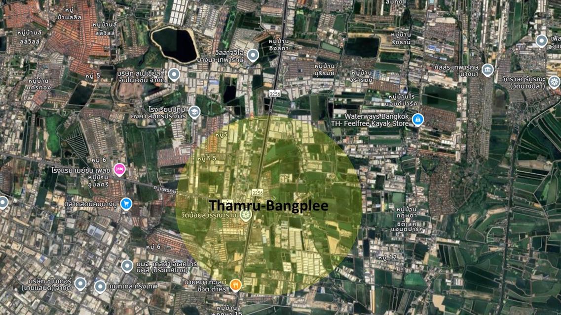 ขายที่ดิน 29 ไร่ ถนน ตำหรุ-บางพลี อนาคตมีเปลี่ยนผังสีเป็นสีเหลือง 1