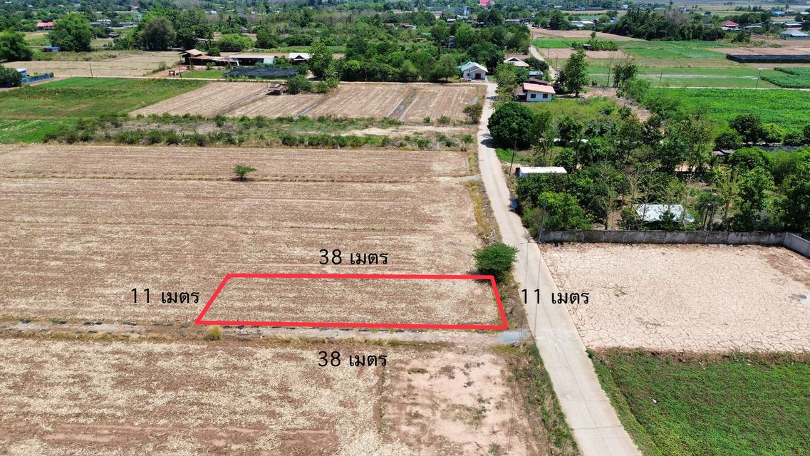 ที่ดินพิษณุโลก ราคาถูก 2