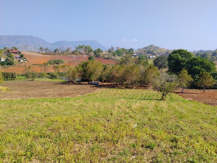 ที่ดินเขาค้อ วิวภูเขา ถนน น้ำ ไฟ พร้อม 5