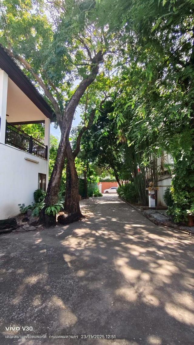 🏡🌳 🔥 ขาย/ให้เช่าด่วน! บ้านเดี่ยวใจกลางเมือง พญาไท (ซอยอารีย์/สายลม) 237 ตร.ว. 800 ตร.ม. พร้อม สระว่ายน้ำส่วนตัว 🏊 14