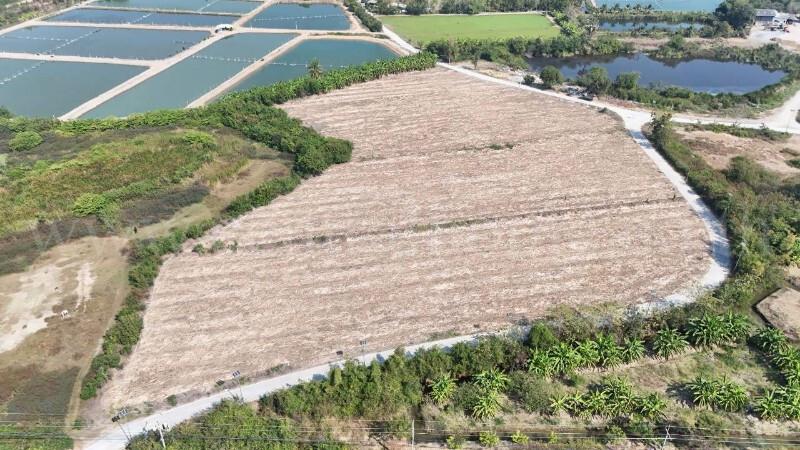 ที่ดินเปล่า ถมแล้ว 12-3-22 ไร่ ห้วยม่วง นครปฐม 10