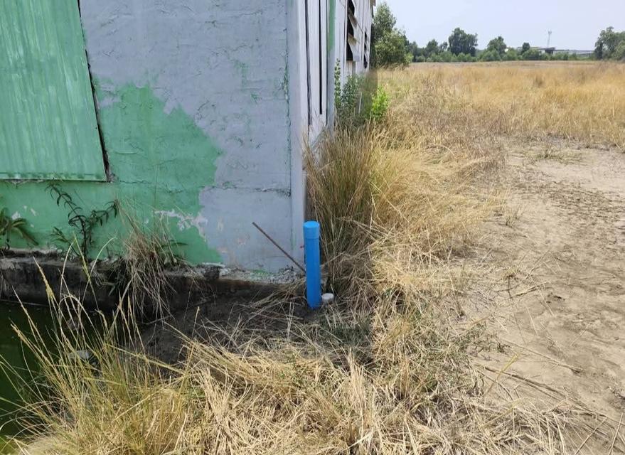 ที่ดิน ซอยสร้อยทอง ประชาอุทิศ90 5