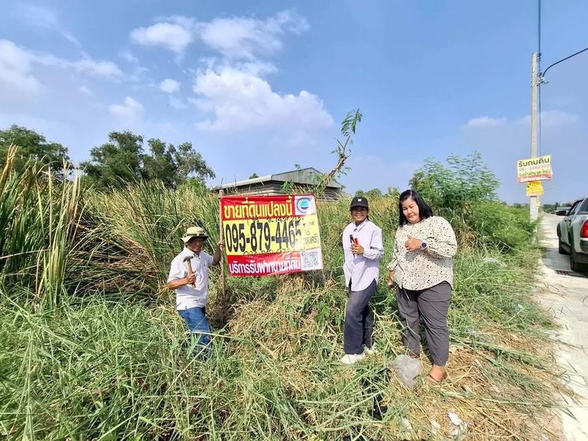 ขายที่ดินคลองสอง 1 ไร่) (ทำเลดี มีอนาคต จ.ปทุมธานี 1