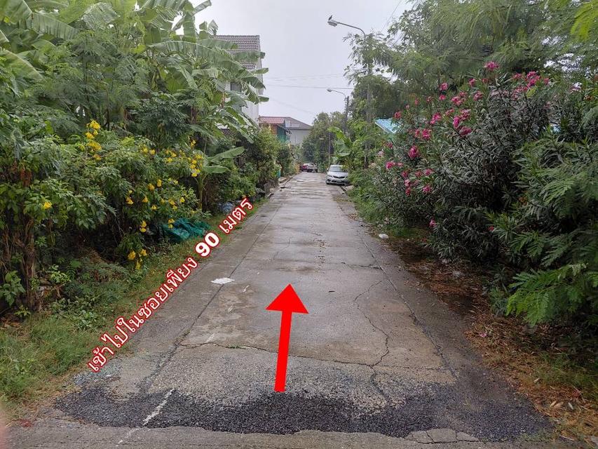 ที่ดิน 51 ตร.ว. บรมราชชนนี 74 เขตทวีวัฒนา กรุงเทพฯ 4
