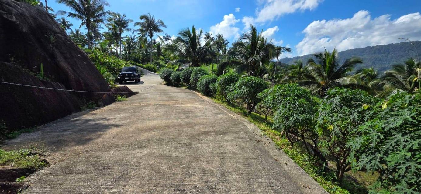 ที่ดินซีวิวบนเกาะสมุยอากาศดีถนนไฟฟ้าพร้อม 11