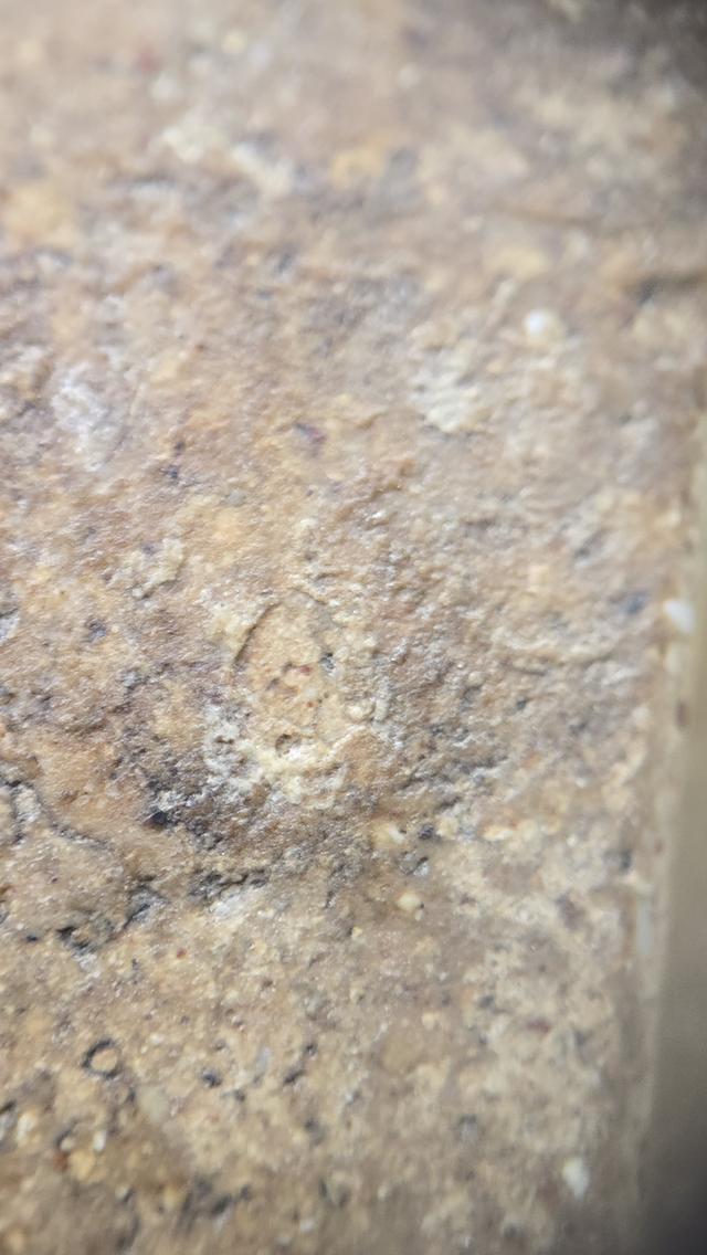 พระสมเด็จวัดระฆัง พิมพ์ใหญ่  11