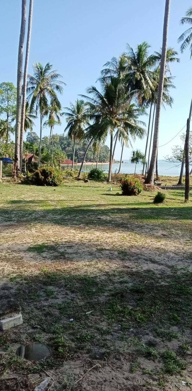 ที่ดินติดทะลวิวสวยจอดเรือได้ ทำรีสอร์ทได้ 1
