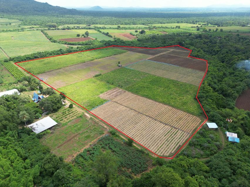 ขายที่ดิน 42 ไร่ วังดง เมืองกาญจนบุรี ติดน้ำ วิวเขา ล้อมรอบด้วยธรรมชาติ 2