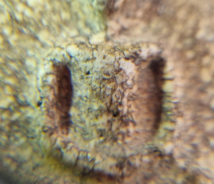 พระสมเด็จ 9