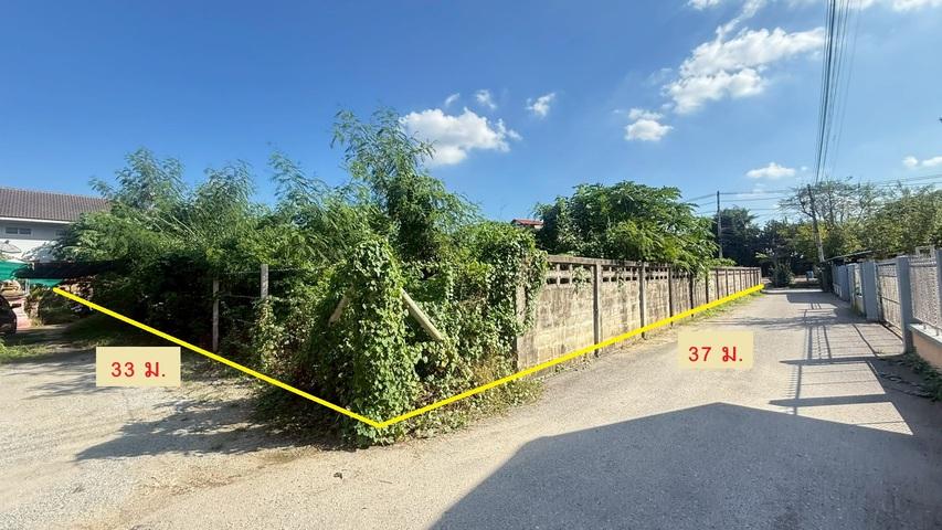 ขายที่ดินติดถนนราษฎร์อุทิศ ต.วัดเกต อ.เมืองเชียงใหม่ 3