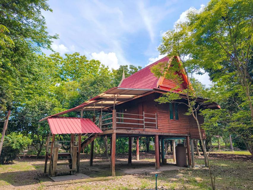 ขายที่ดินทำเลทองพร้อมสิ่งปลูกสร้าง บนเนื้อที่ 18 ไร่ 2 งาน 19 ตารางวา พิษณุโลก 4