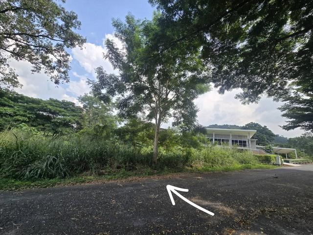 ที่ดิน ภูภัทรา เขาใหญ่ สะดวกต่อการเดินทาง แปลงมุม, ทำเลดี, ติดถนน 2 ด้าน 3