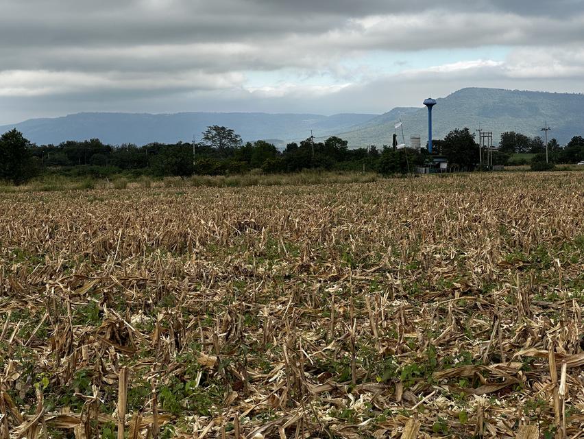 ที่ดินเขาใหญ่ มองเห็นวิวเขา 2ไร่ 2งาน 19ตรว หน้ากว้างติดถนนลาดยาง 77 เมตร ไฟ 3เฟส น้ำพร้อม ถนนลาดยางกว้าง 8 เมตร 7
