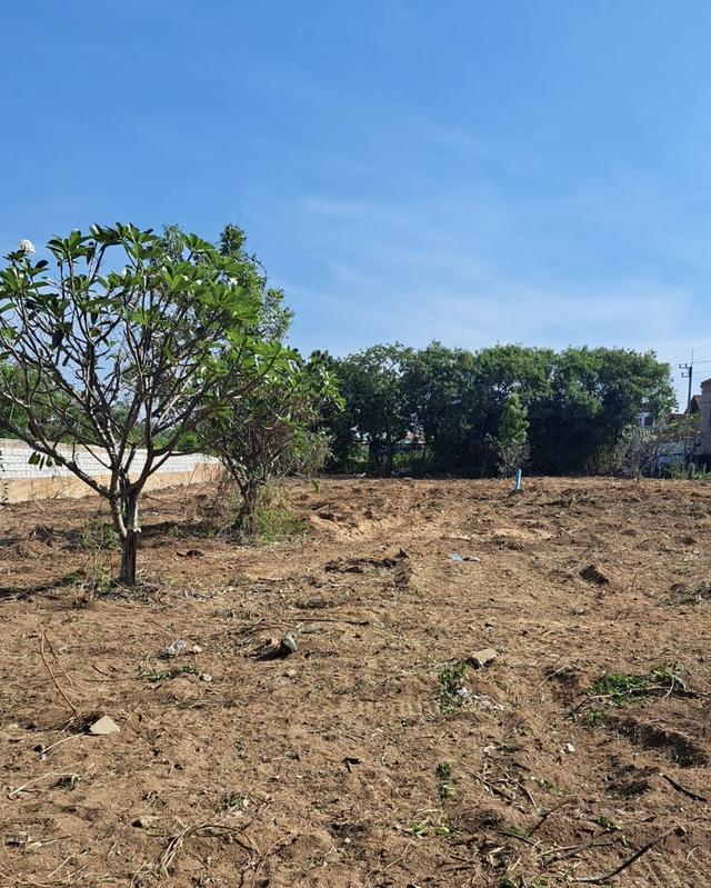 Investment Land Near the Sea — Jomtien, 3000 sq.m 1