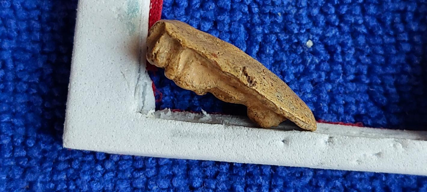 พระรอดกรุวัดมหาวัน ลำพูน รูปที่ 6