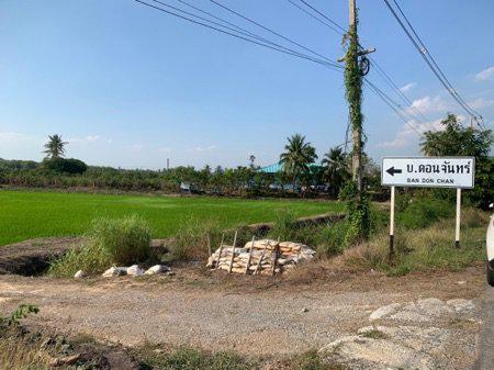 รูป ขาย ที่ดิน รูปที่ดินสวย หน้ากว้างติดถนน 110 เมตรที่ดินเปล่า เนื้อที่ 18 ไร่เศษ อ.เมือง จ.สุพรรณบุรี 18 ไร่ 75 ตร.วา 2