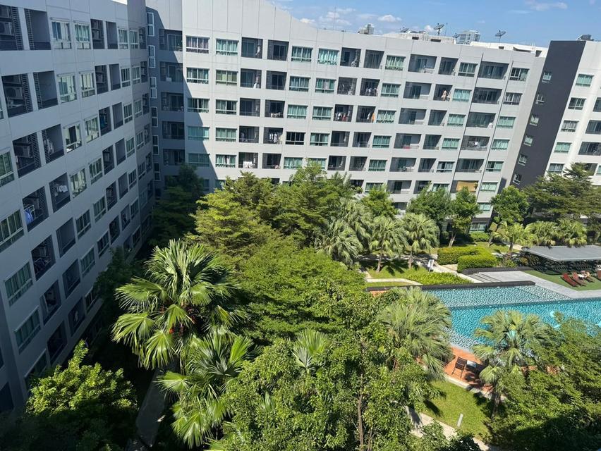 คอนโดให้เช่า-For Rent 7