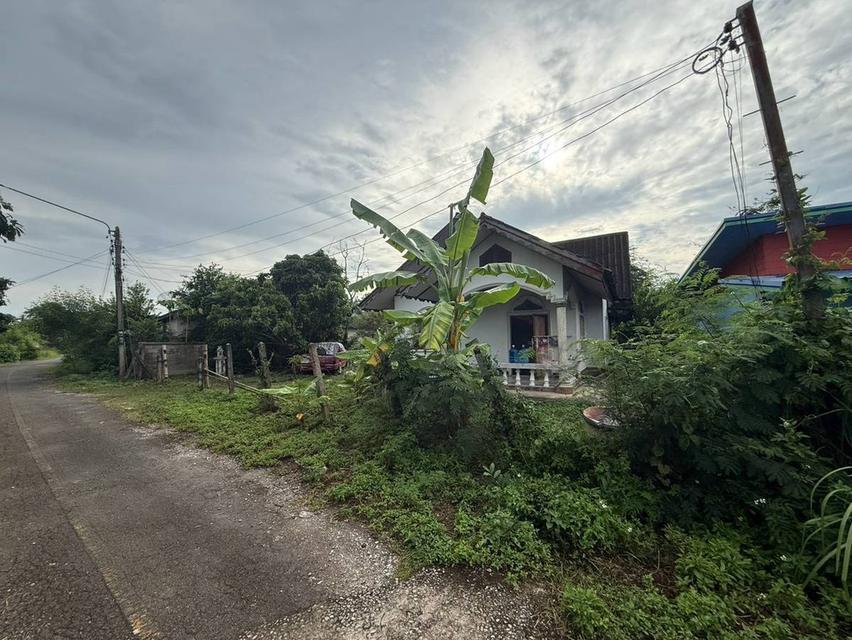 ขายบ้านเดี่ยวชั้นเดียว ราคาสบายกระเป๋า เพียง 790,000 บาท 6