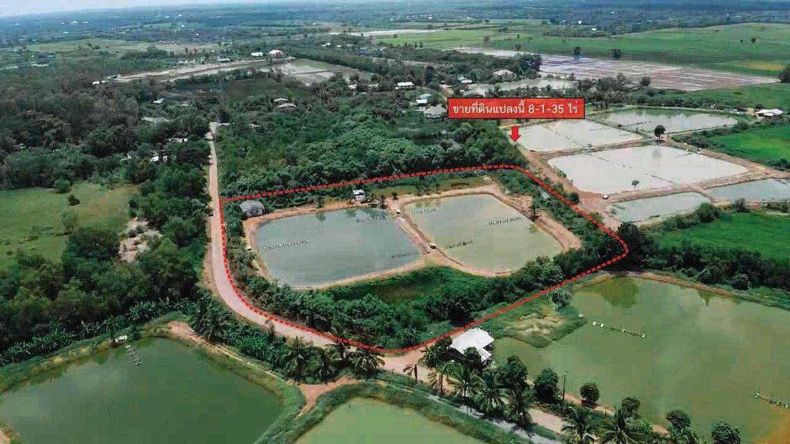 ที่ดิน บางคล้า ฉะเชิงเทรา 