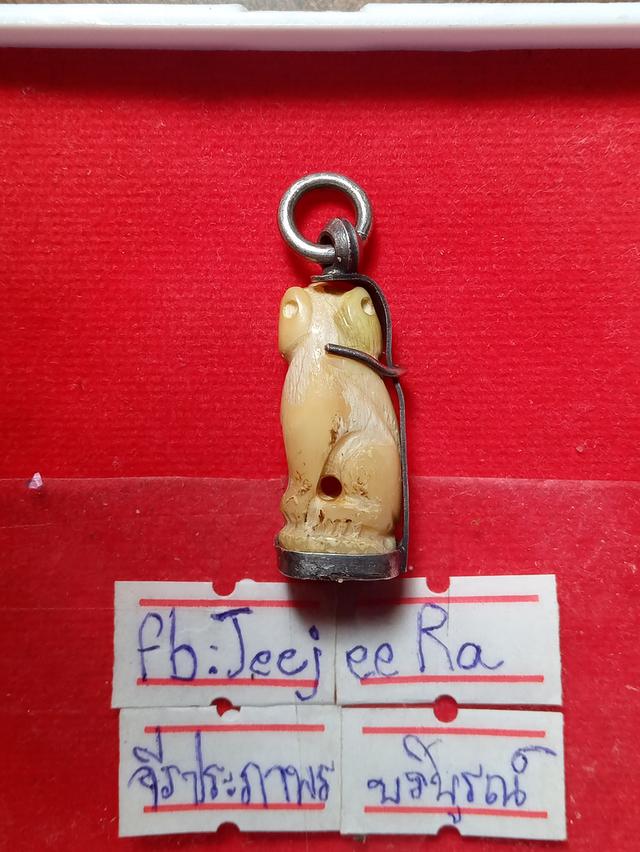 เขียวเสือแกะจับเงินเก่า 4