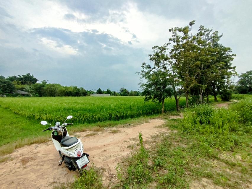 ที่ดิน 1 ไร่ 2 งาน อยู่ห่างจากถนนหน้าค่ายบุรฉัตร จ.ราชบุรีเพียง 500 ม. ขาย 2,700,000 2