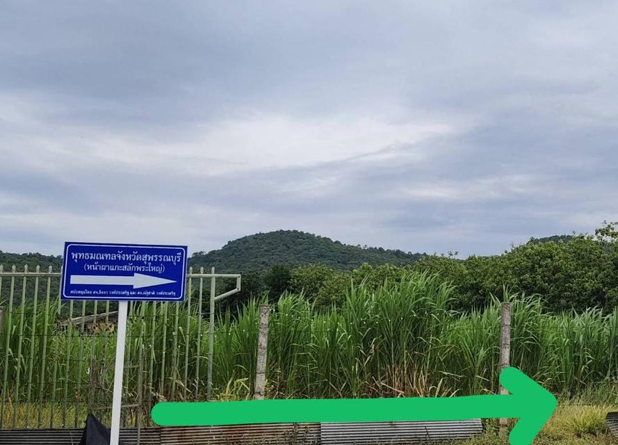 ขายที่ดินวิวเขาใกล้พุทธมณฑลจังหวัดสุพรรณบุรี 4