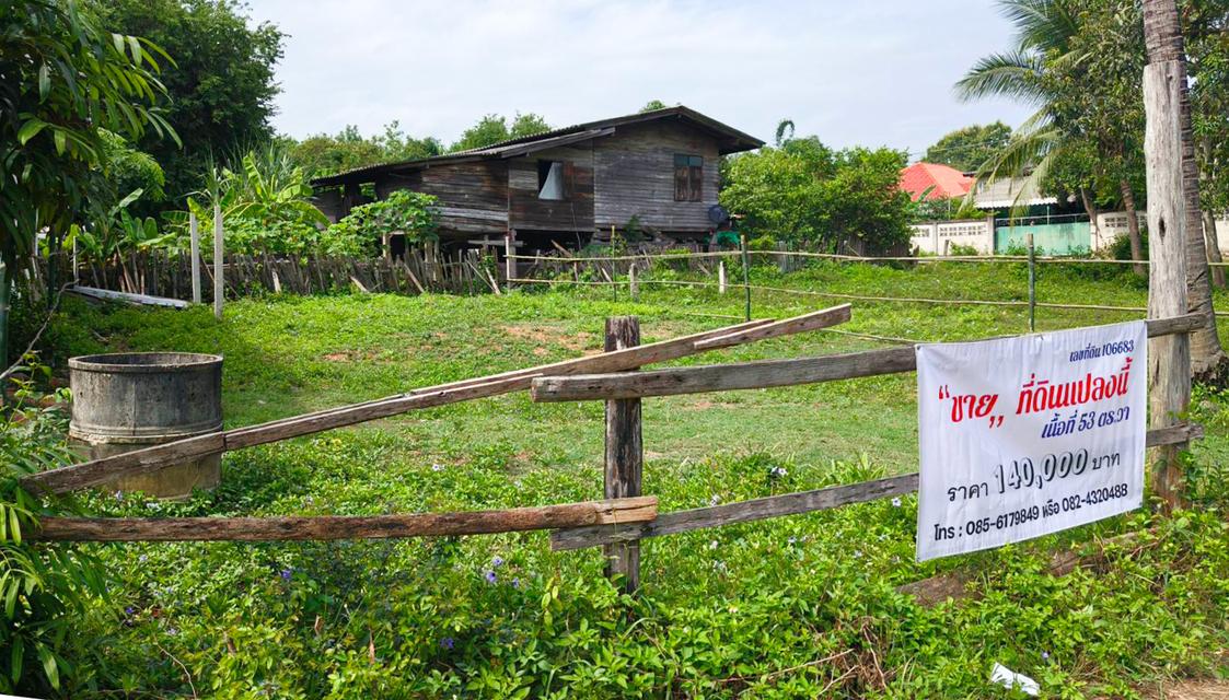 ขายที่ดินว่างเปล่า 53 ตร.วา ต.บ้านเสด็จ อ.เมืองลำปาง
